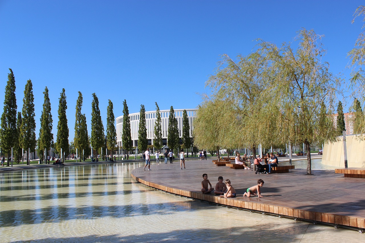 重要作用 重要作用