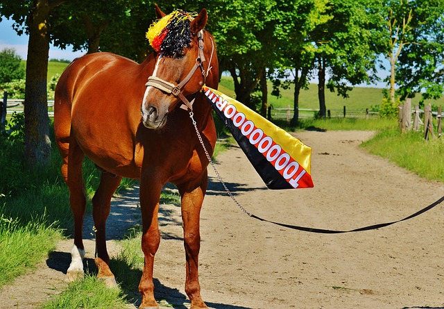 坎特的加盟 坎特的加盟