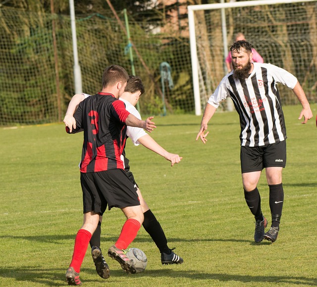 与此同时 与此同时