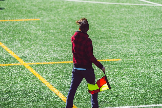 在这个过程 在这个过程